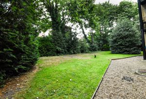 Communal garden- click for photo gallery